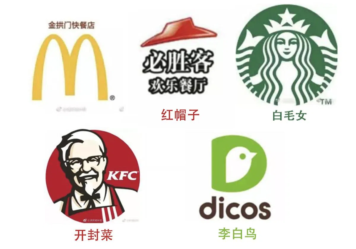  （谢静怡制图） 