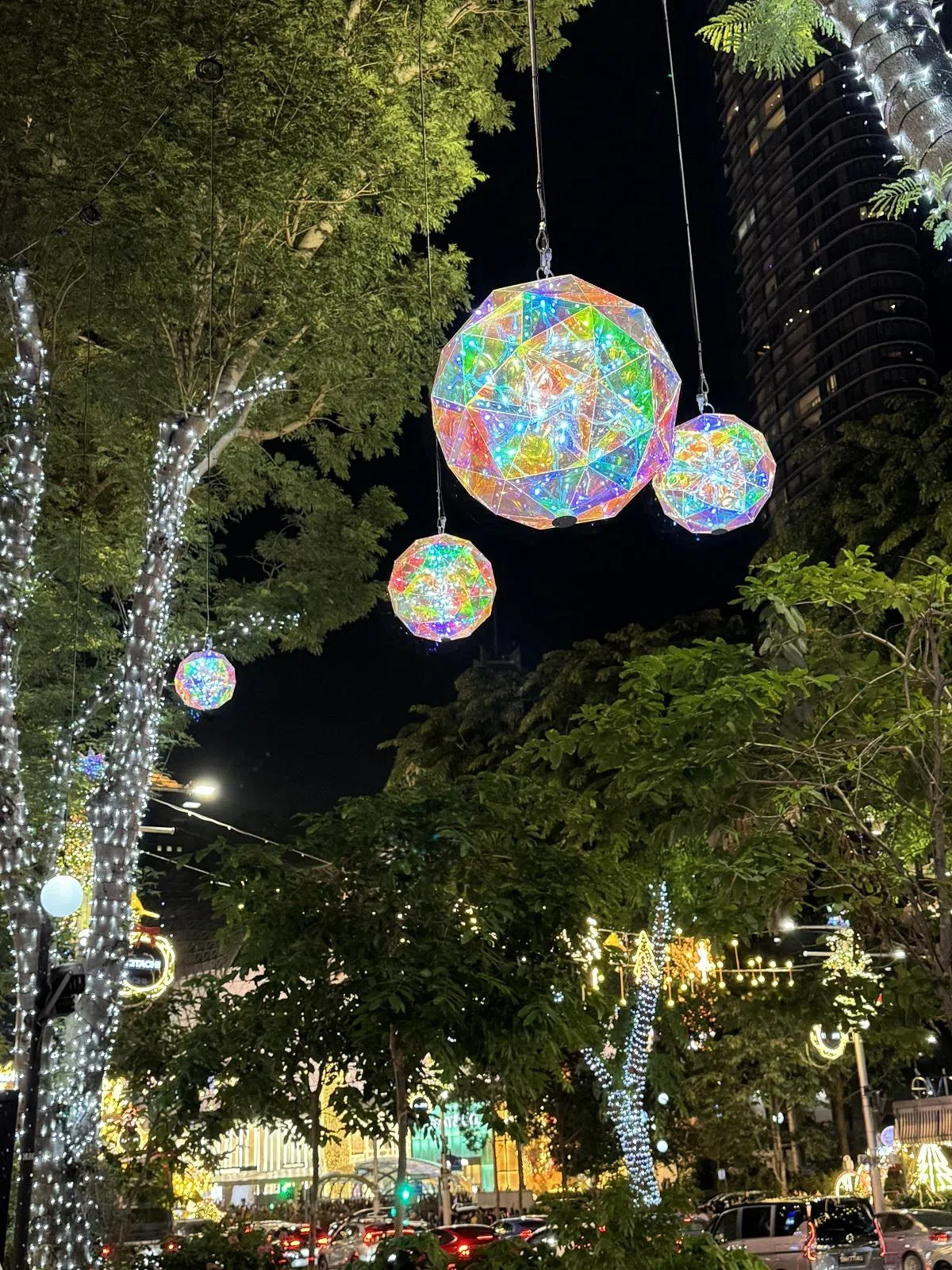 乌节路的树上悬挂着一颗颗色彩梦幻的七彩球。（红蚂蚁摄）