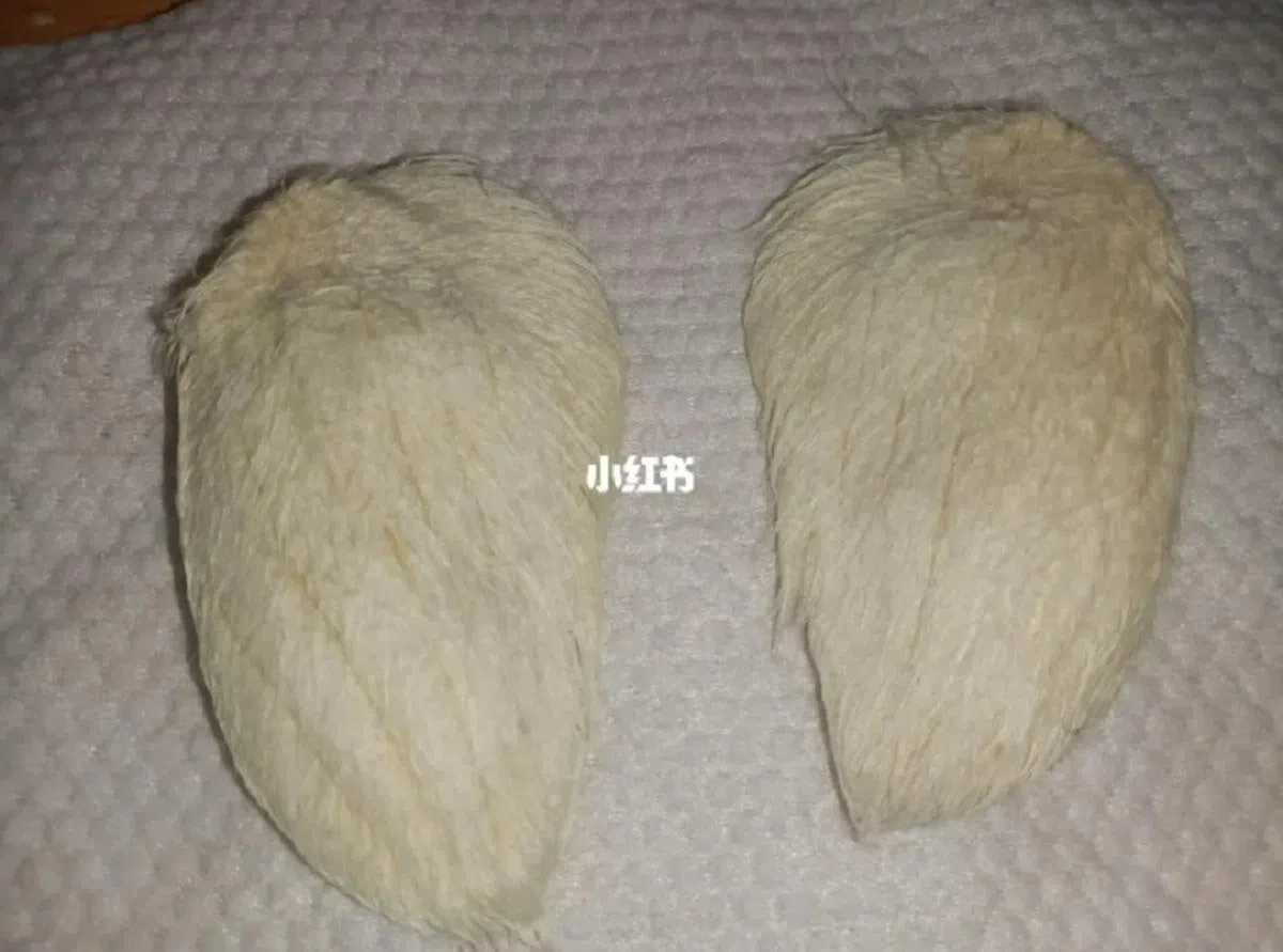 哪个是大毛，哪个是二毛？看来只有“主人”才知道。（小红书截图）