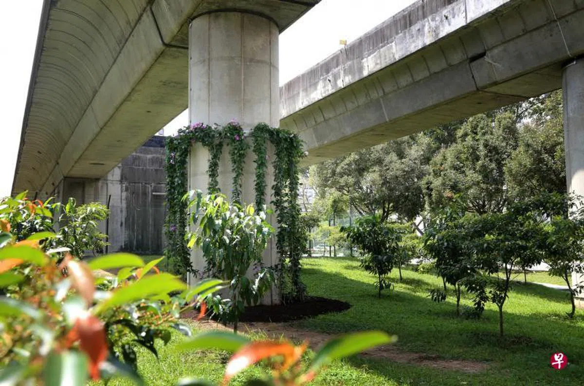  宏茂桥8道一带地铁高架桥其中一个桥柱测试安装了特制的“绿套子”，等栽种的紫铃藤长得更茂密时，便能遮盖灰沉沉的桥柱。（联合早报） 