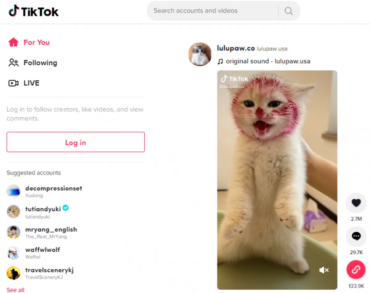 点开TikTok官方主页，全是各种吸引年轻人眼球时长在15秒以内的超短视频。（TikTok）