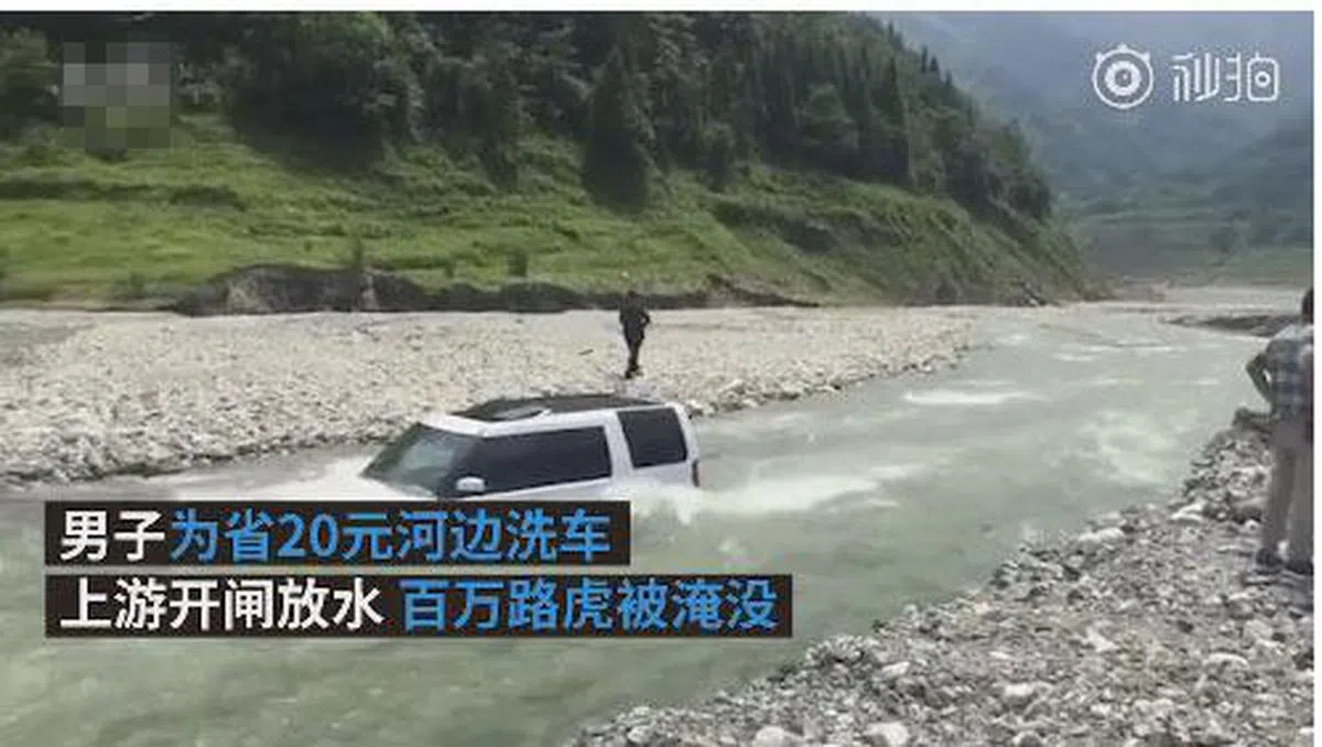  （视频截图） 