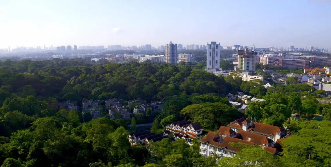 新加坡没有什么名山大川，就是花草树木多，整个岛国看来有点美。（国家公园局视频截图）