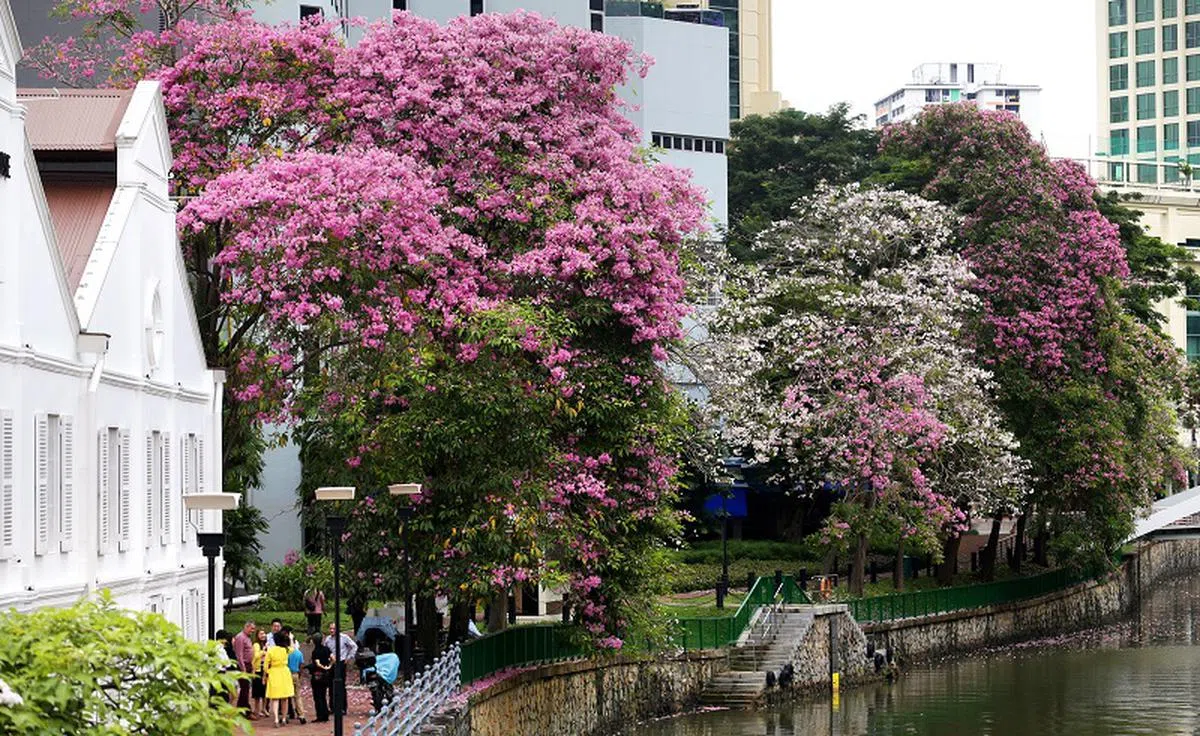  新加坡河畔。（联合早报） 