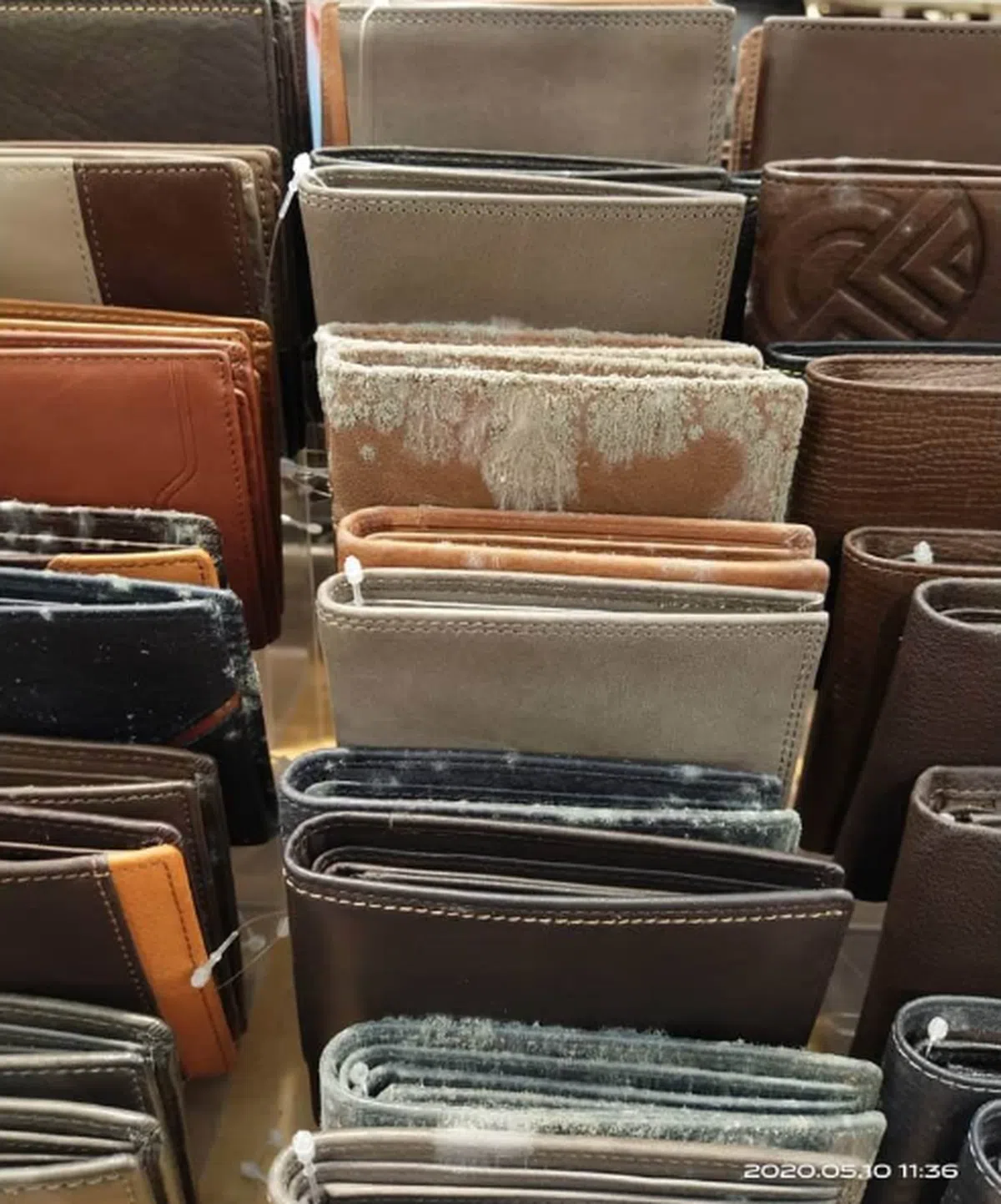  用真皮制作的皮夹涨了大片大片的霉菌。（中国报） 