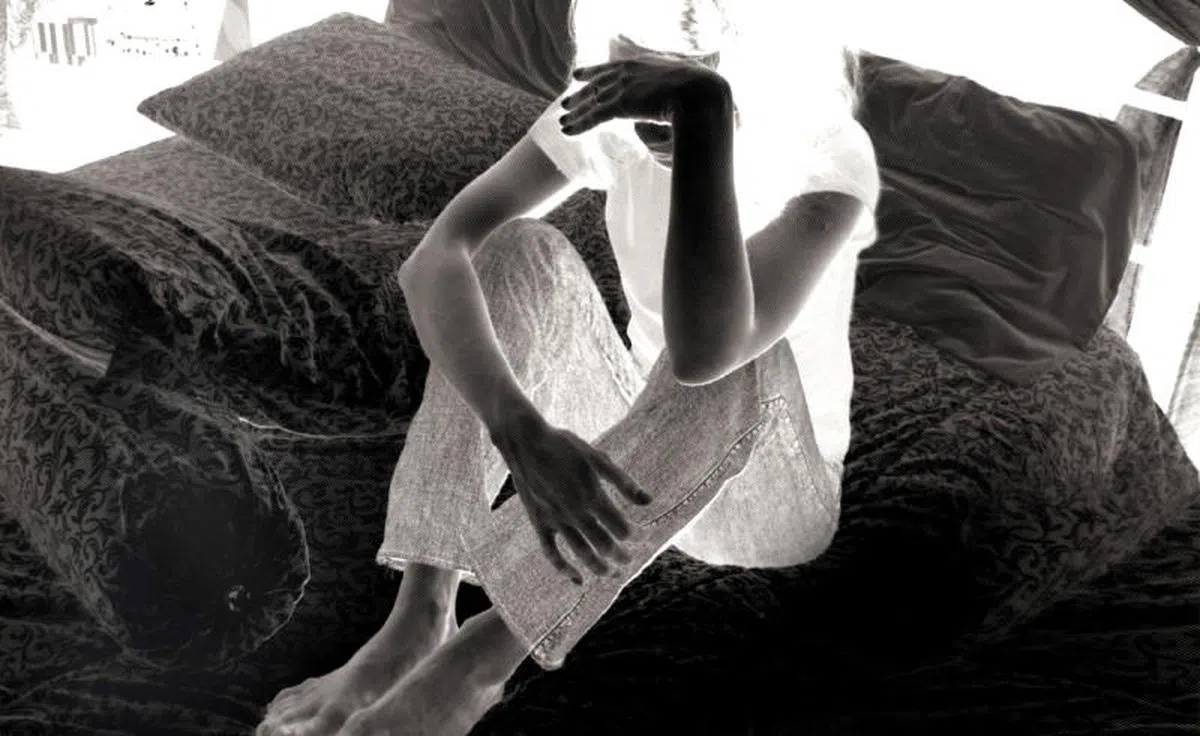  （新报示意图） 