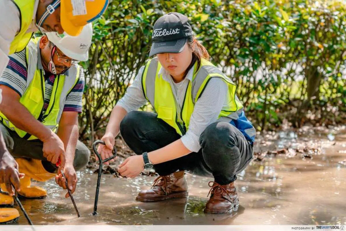 （The Smart Local）