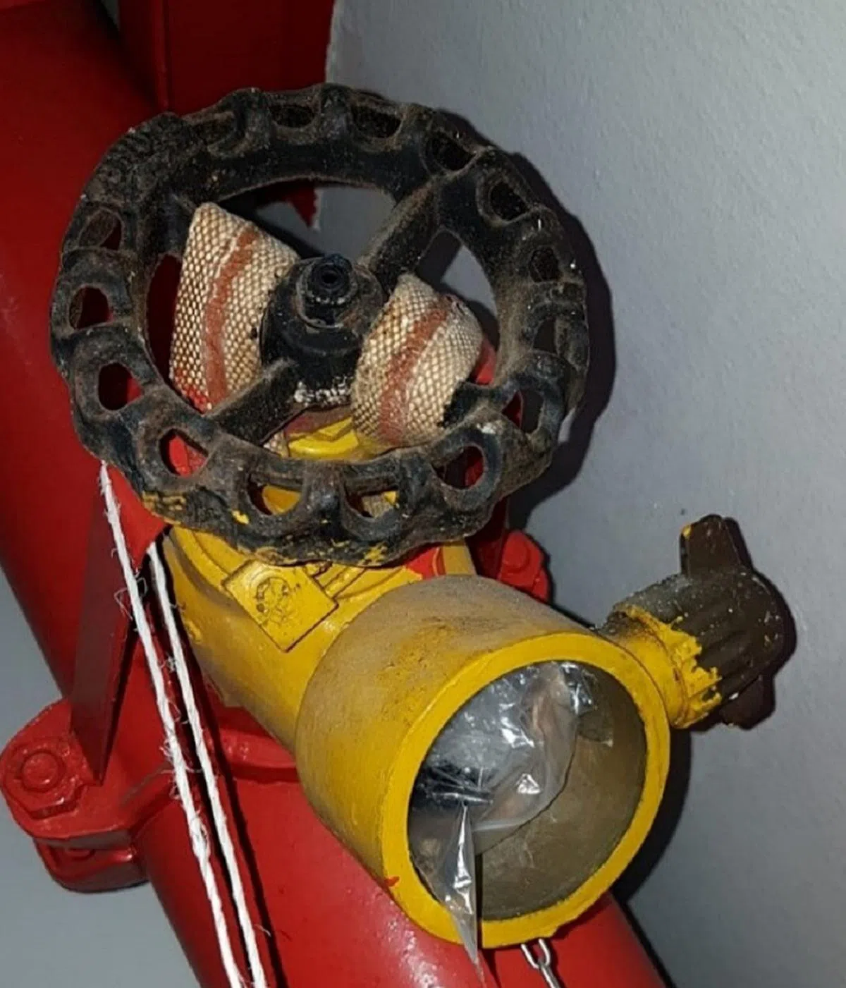 肃毒局在2019年起获嫌犯藏匿在消防栓里的毒品。（中央肃毒局提供）