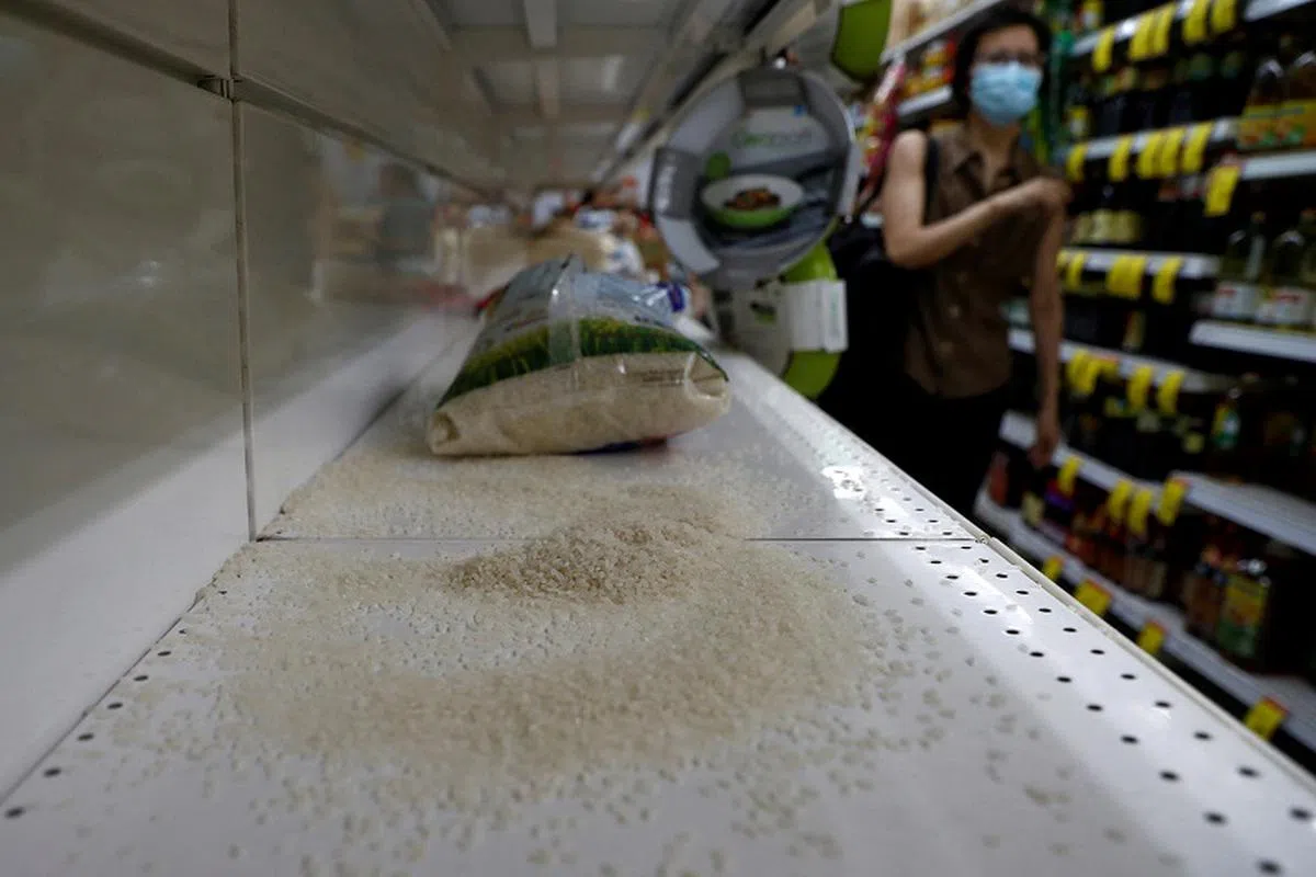 专家指出，没人能预测到粮食危机何时会到来，但人们需要更多食品生产的选项。（海峡时报）