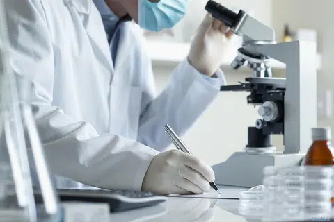 继SMRT证实有职员做假记录之后，南洋理工大学也爆出学术造假。（互联网）