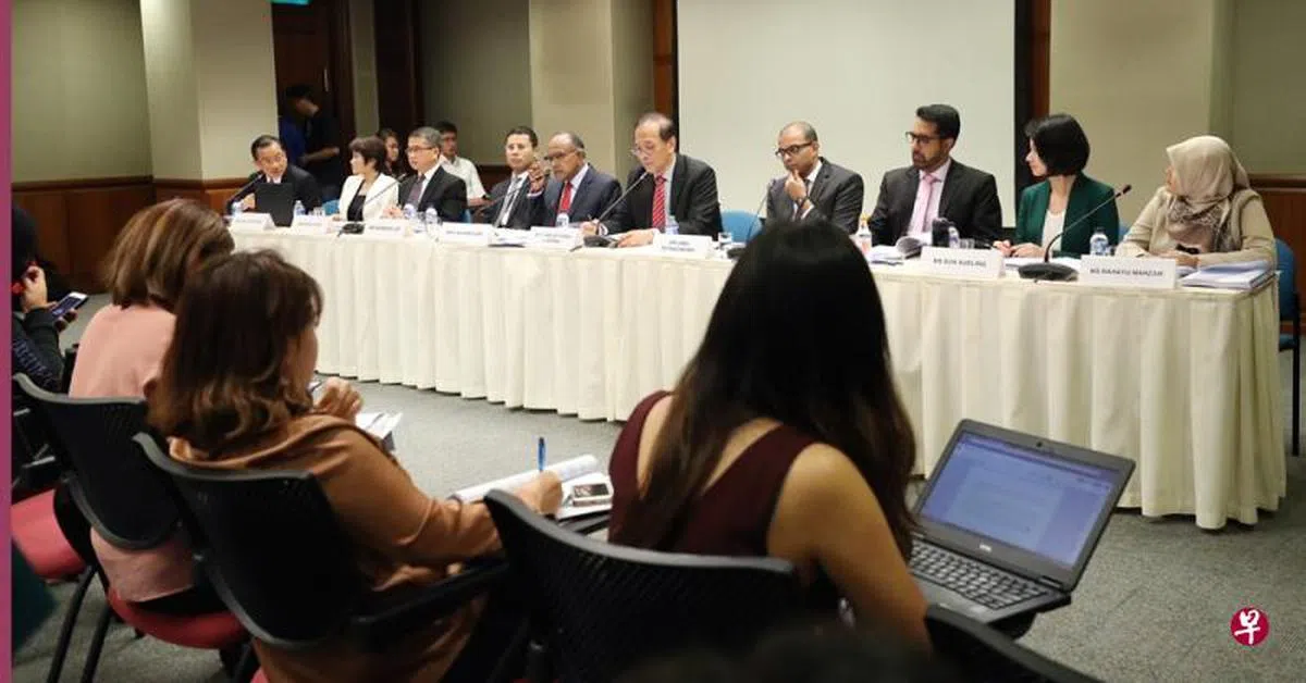  研究网络假信息问题的国会特选委员会今天召开记者会。（联合早报） 