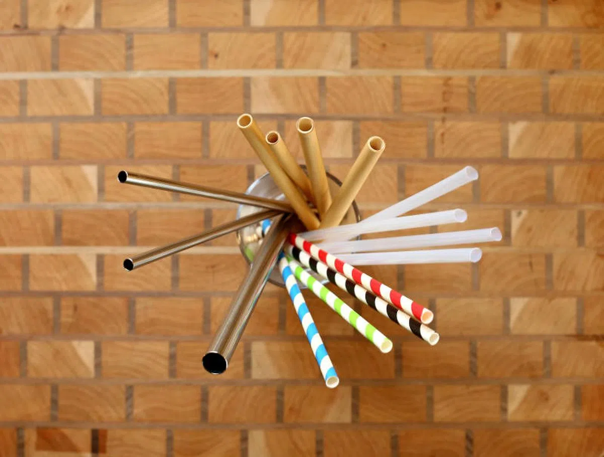 各种“水草”。（联合早报）