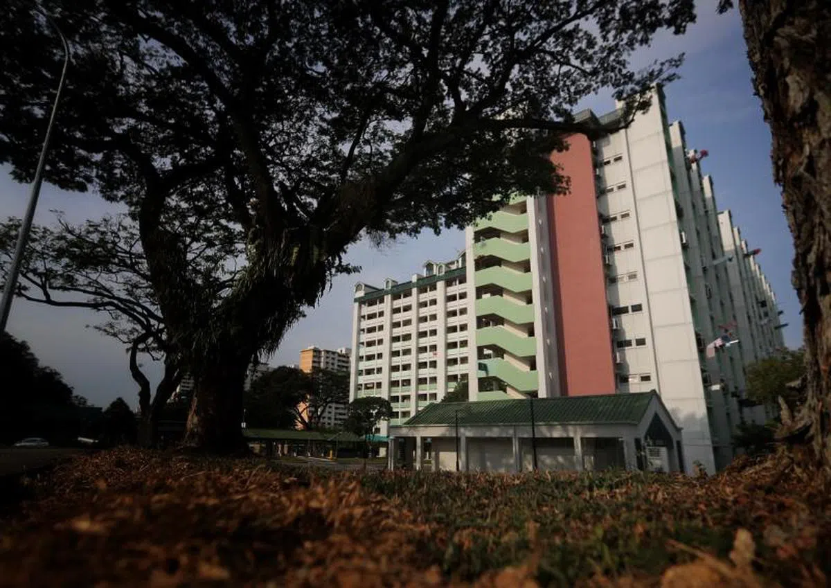 大巴窑是本地最早落成的组屋区之一。（海峡时报）