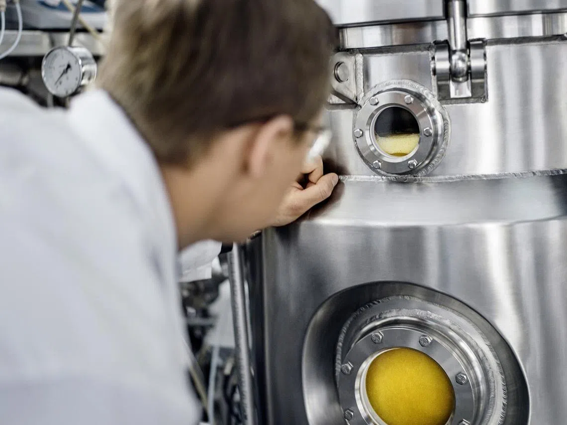 由空气制成的蛋白质Solein的制作过程。（Solar Foods）