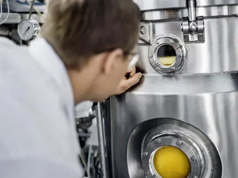 由空气制成的蛋白质Solein的制作过程。（Solar Foods）