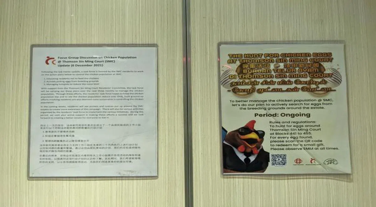 该区也推出寻蛋活动，让居民积极地第441座组屋至455座组屋周围找鸡蛋，还能换取一份小礼物。居民只需填一份表格，附上鸡蛋图，就能领取奖品。（海峡时报）