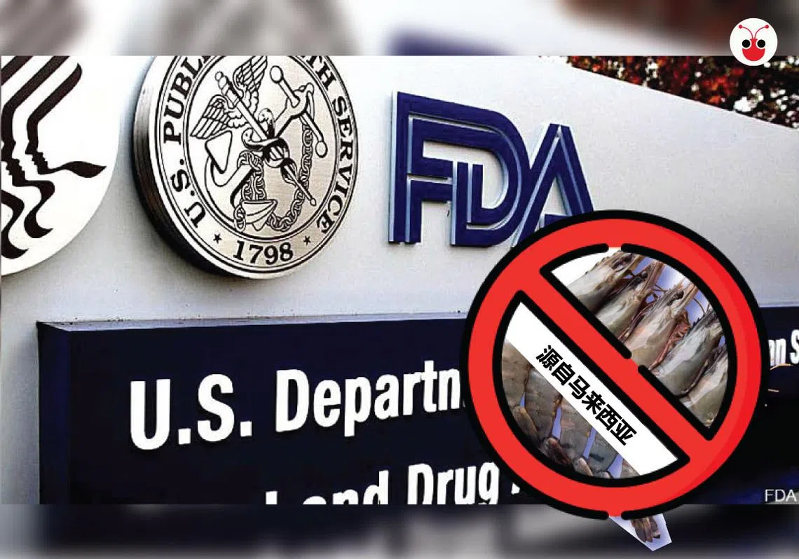 美国查禁来自马来西亚的虾类。（陈姿潓制图）