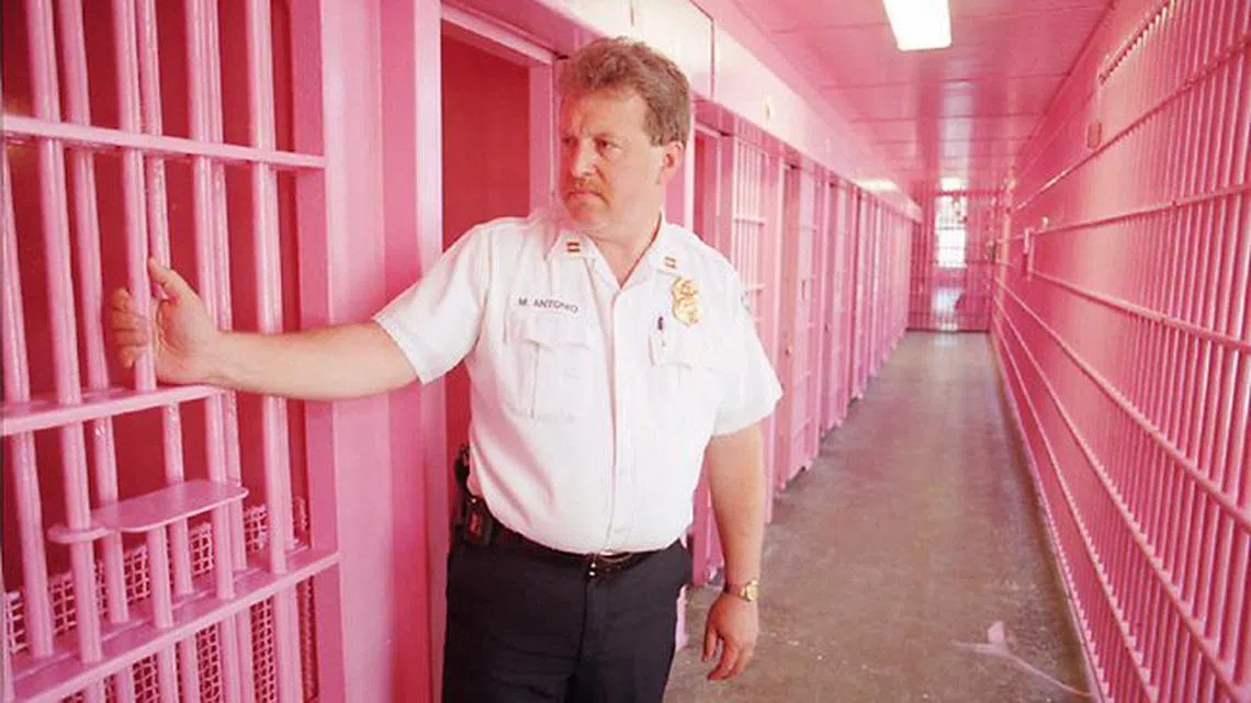 你能猜得出这个粉色空间是什么地方吗？（视频截图）