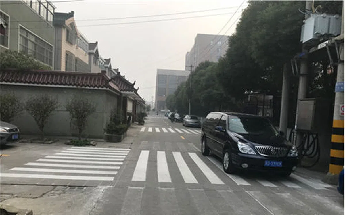  村前一条大约三四百米长的柏油路上，就出现七八道斑马线。（互联网） 