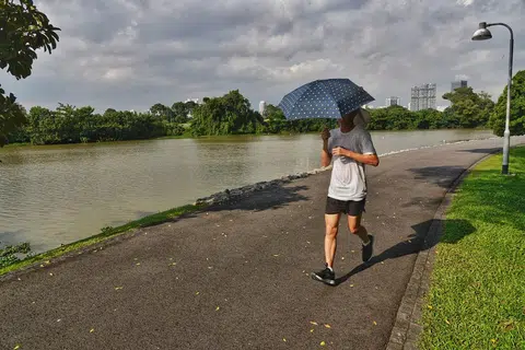 新加坡北部上周气温高达36.1摄氏度。（海峡时报）