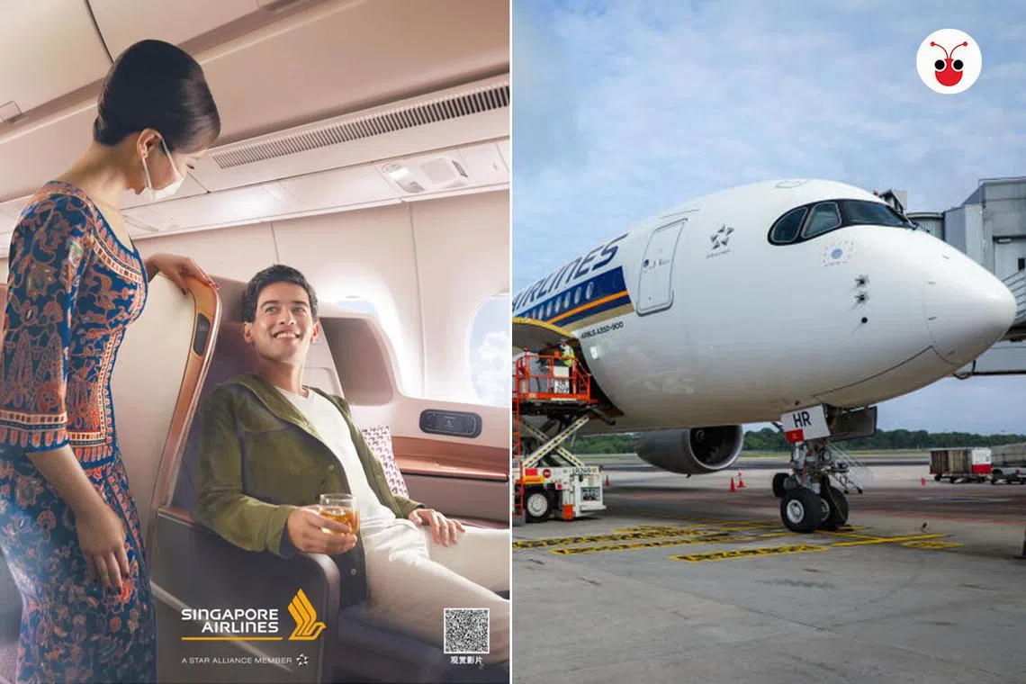 （联合早报 / 红蚂蚁制图）