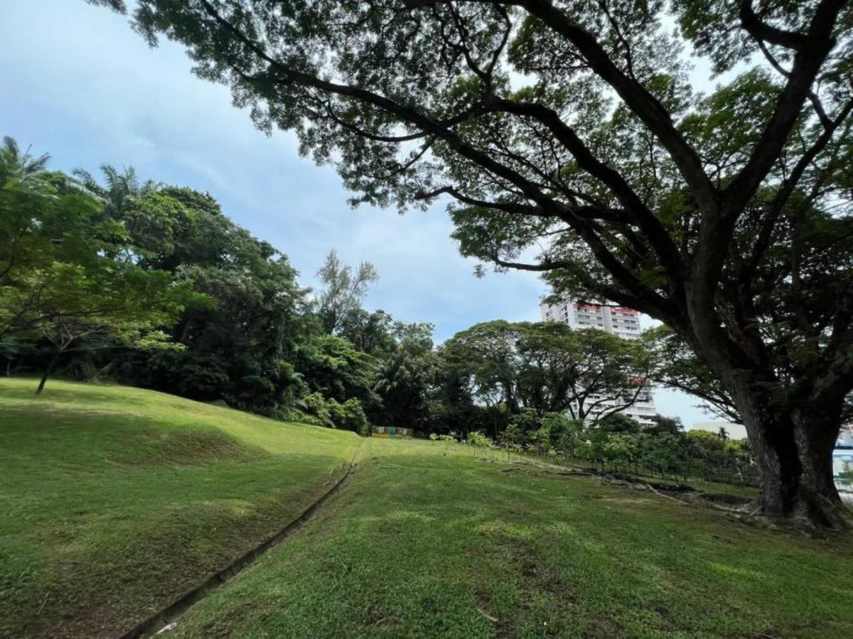 Spottiswoode Park。（叶孝忠摄）