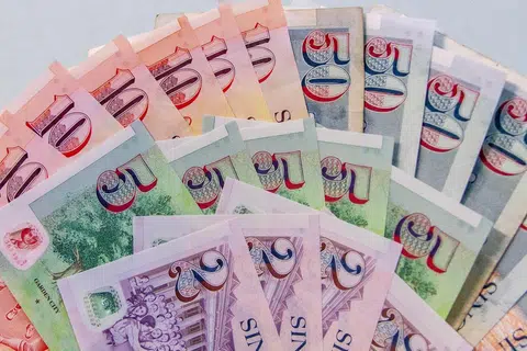 新元今年以来表现强劲。（互联网）