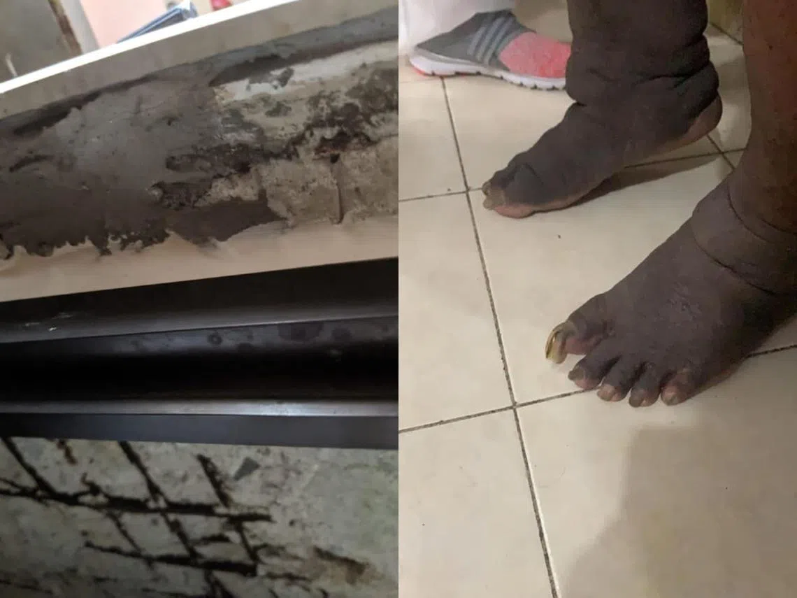 （Fion Phua面簿）