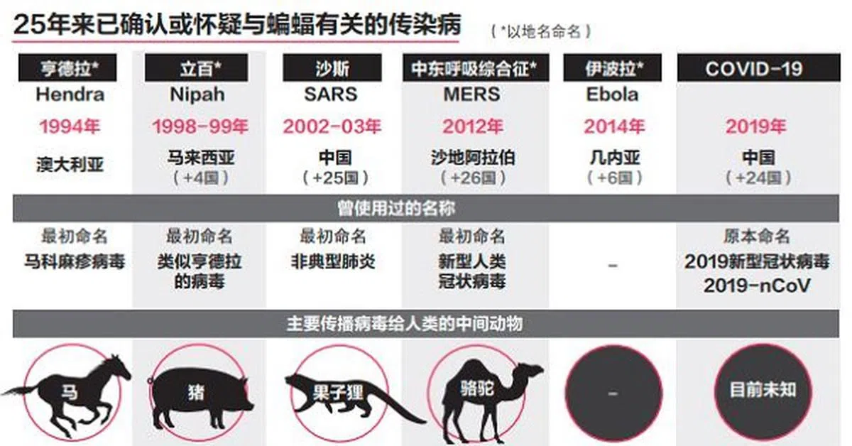 历年来各种疾病的命名，当中包括参考地名。（联合早报）