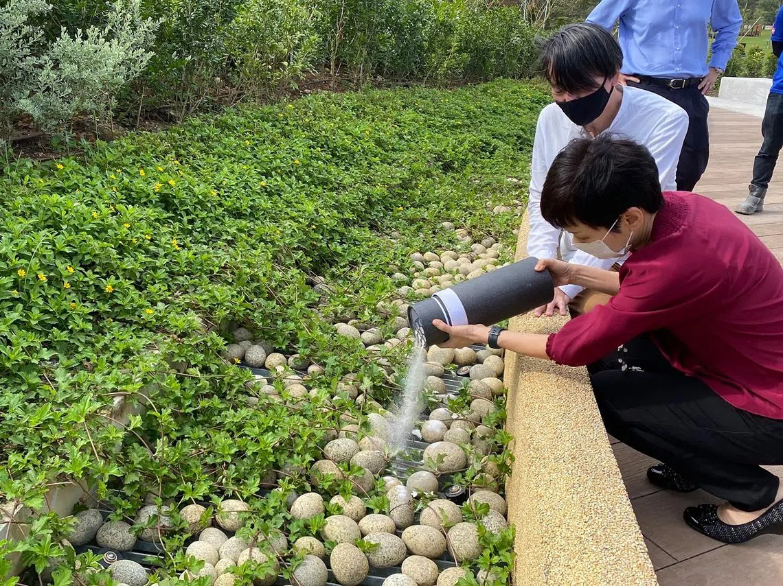 家属可在行人径道上，隔着30公分高的矮墙将逝者的骨灰撒在撒土区的卵石上，让骨灰自然渗透到土壤中。（傅海燕面簿）