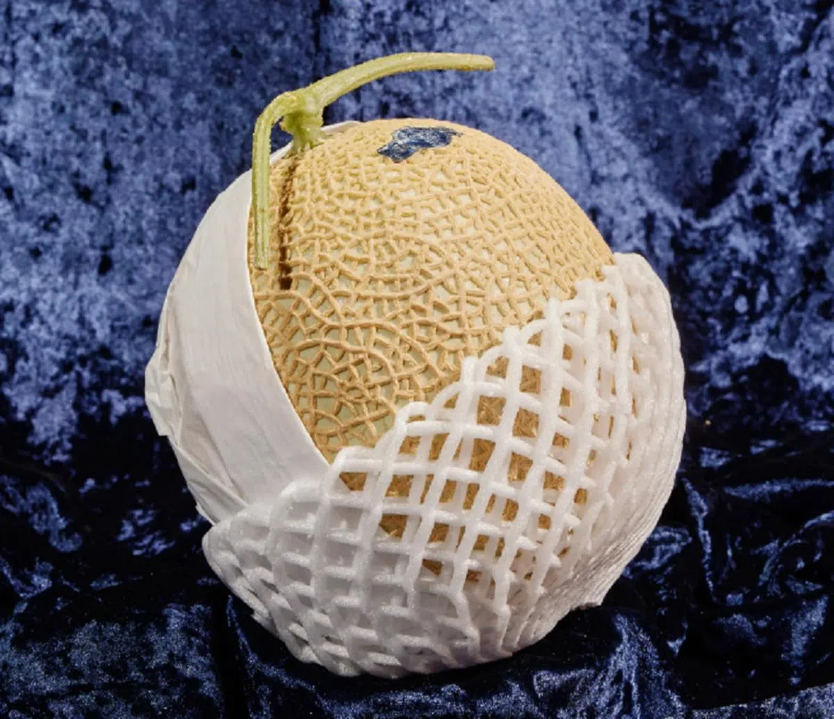 头戴“皇冠”，果然是蜜瓜中的“贵族”。（纽约时报）