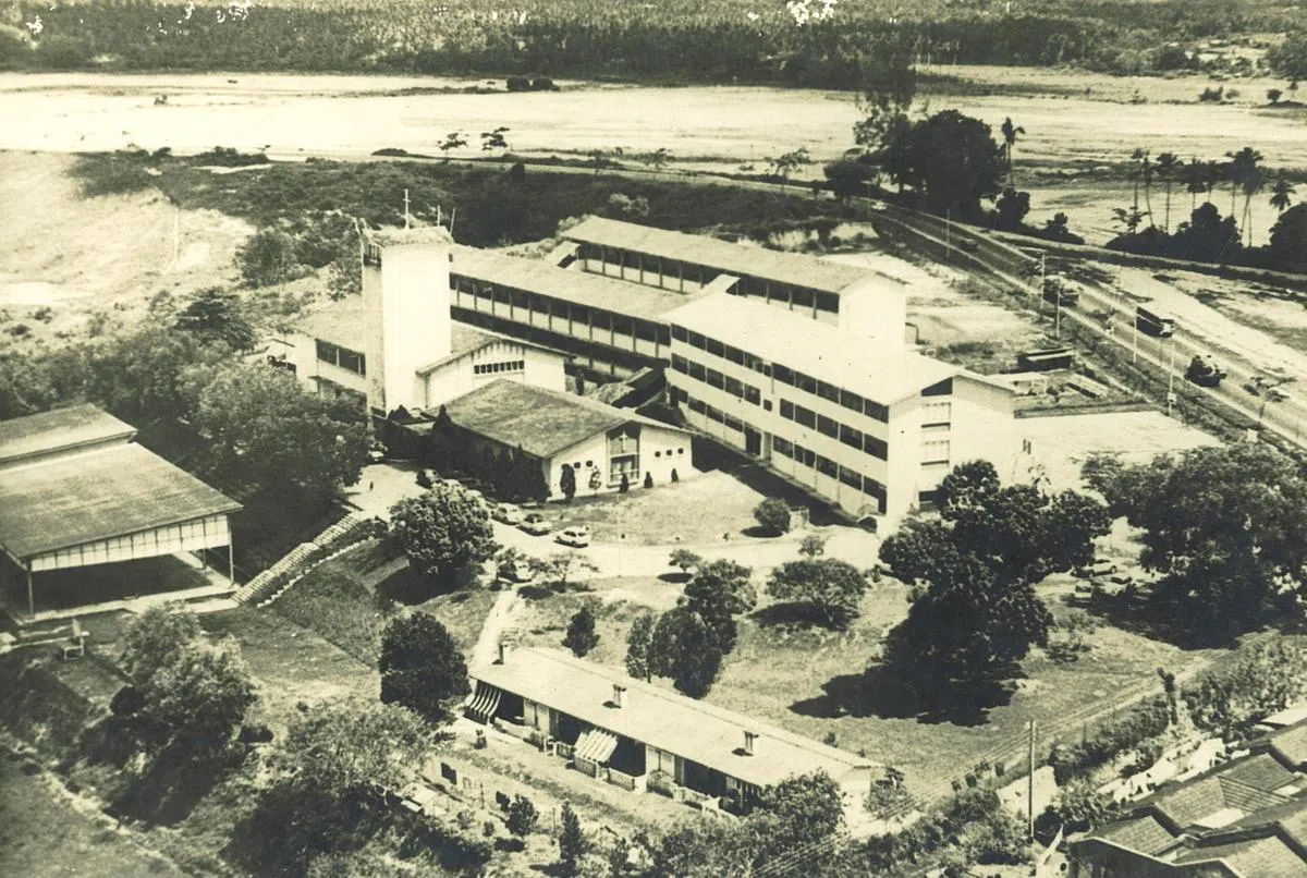  （图片由作者提供） 