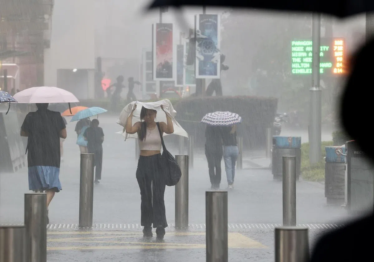 出门记得带伞，否则只能用外套挡雨。（联合早报）