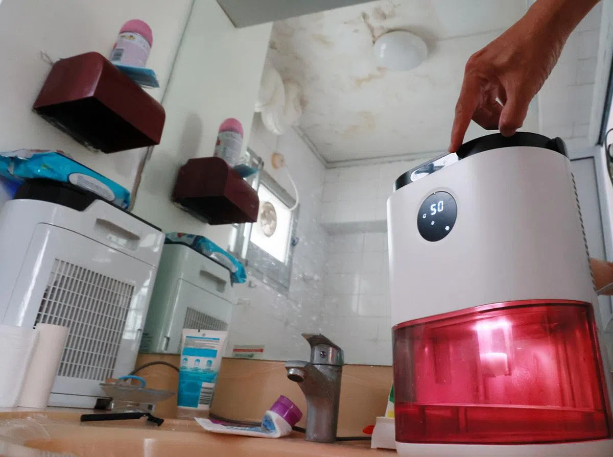 每天使用除湿机一两个小时，可以把相对湿度降到少于50％。（新明日报）