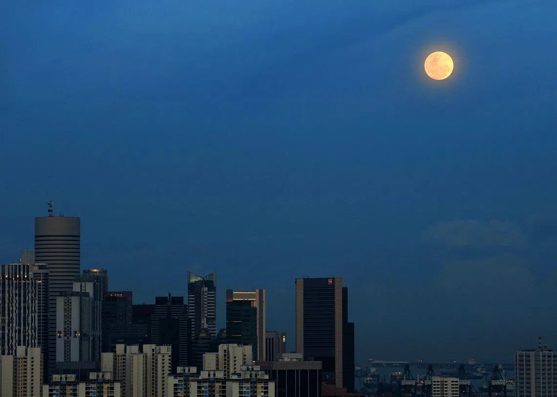 新加坡夜空的超级月亮。（海峡时报）
