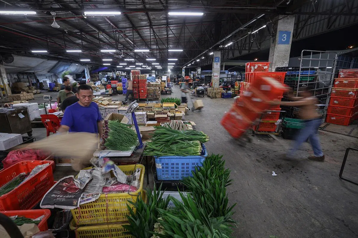 本地农业食品业业者说，从采收蔬果到包装的质量检查过程中，已造成三成的浪费。（联合早报）