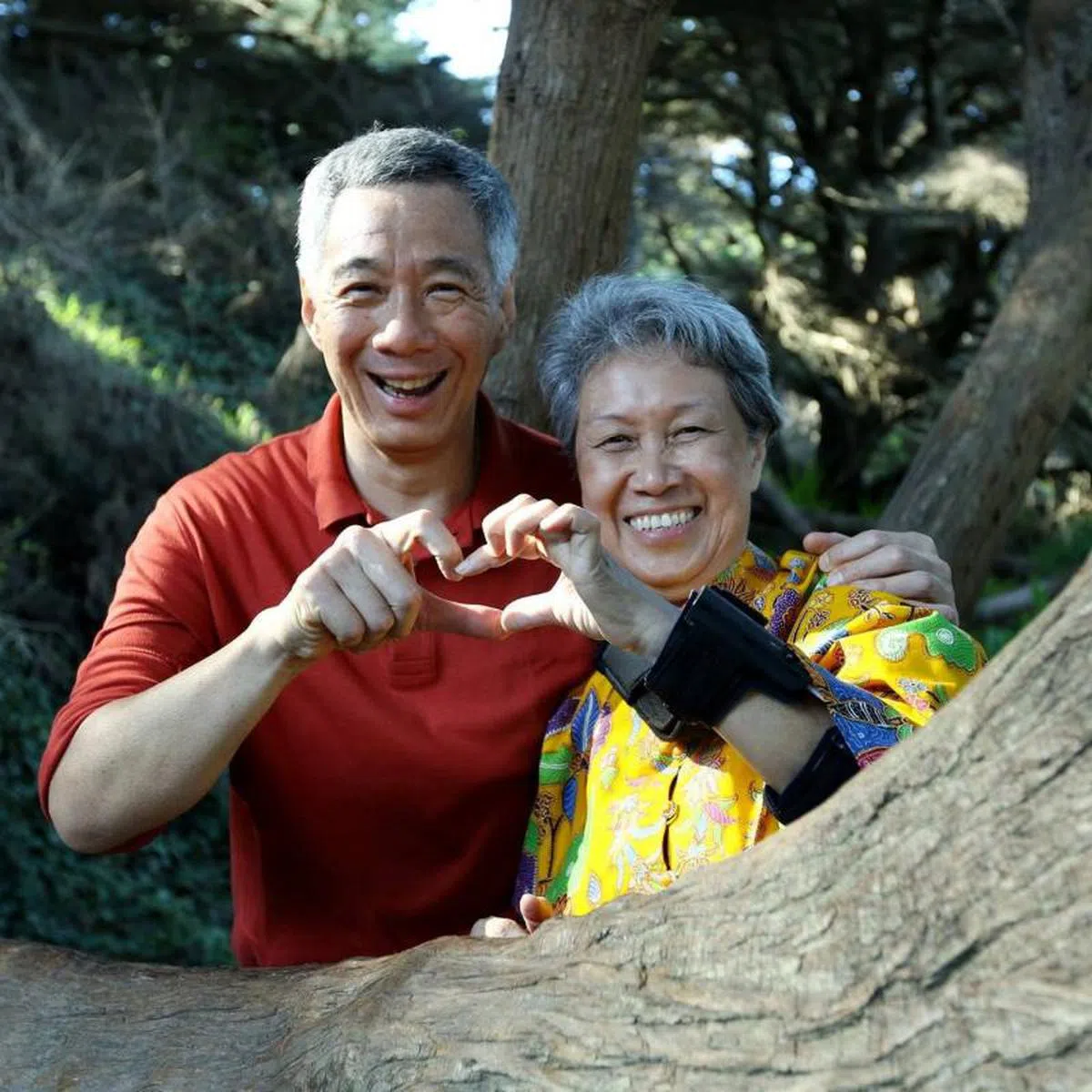  同样难不倒总理和夫人。（李显龙总理面簿） 