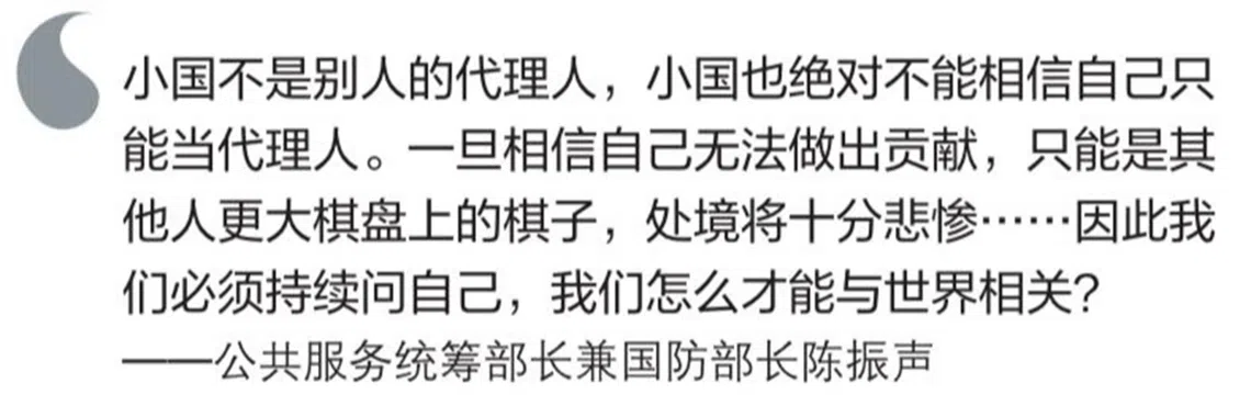 陈振声关于“小国不是别人的代理人”的金句