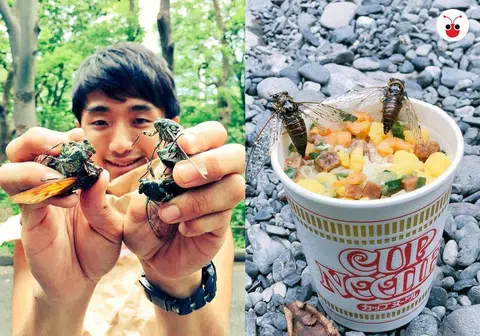 人虫都有相爱的权利。（苏羽葳制图）