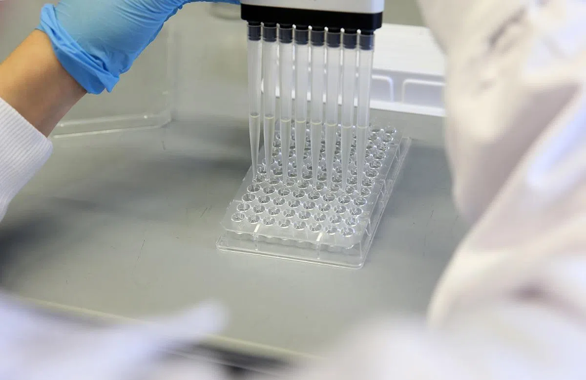 新加坡中央医院的药剂师将研究不同组合的抗生素，能否有效对抗具耐药性的“超级细菌”。（海峡时报）