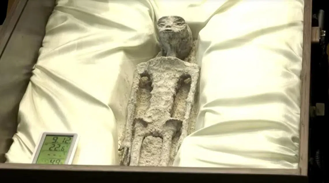 棺材内还可以调节温度，难怪“外星人”躺得那么舒服。（路透社）