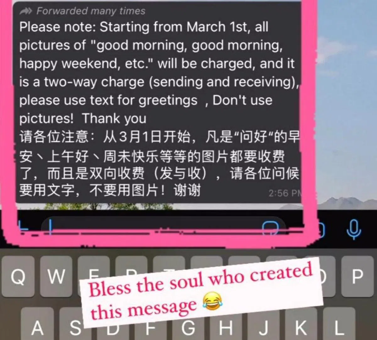  有网友在WhatsApp群里截到这条信息时写道：写这条信息的人，感谢上苍有你！（Ting Yen） 