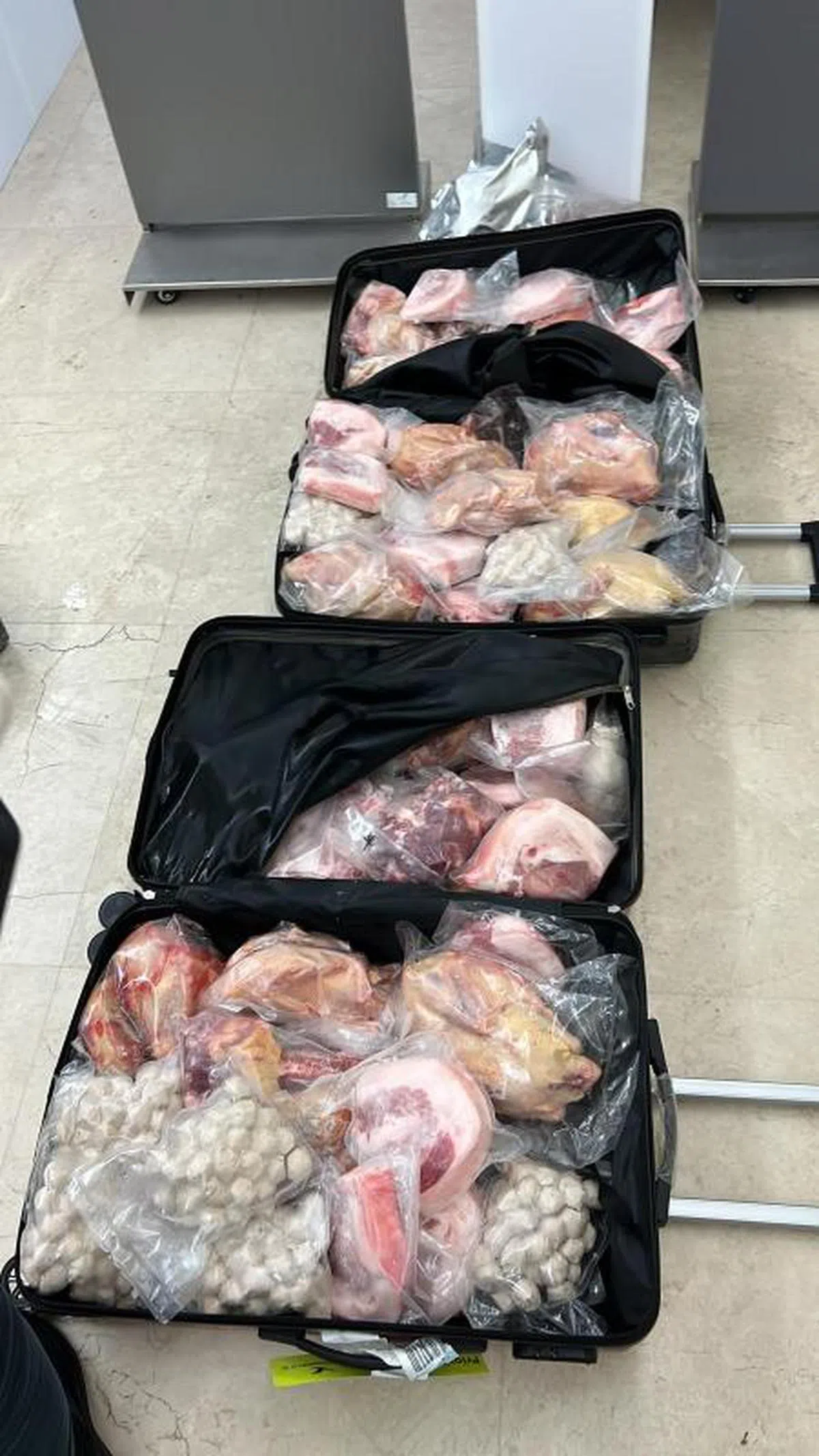 （新加坡食品局）