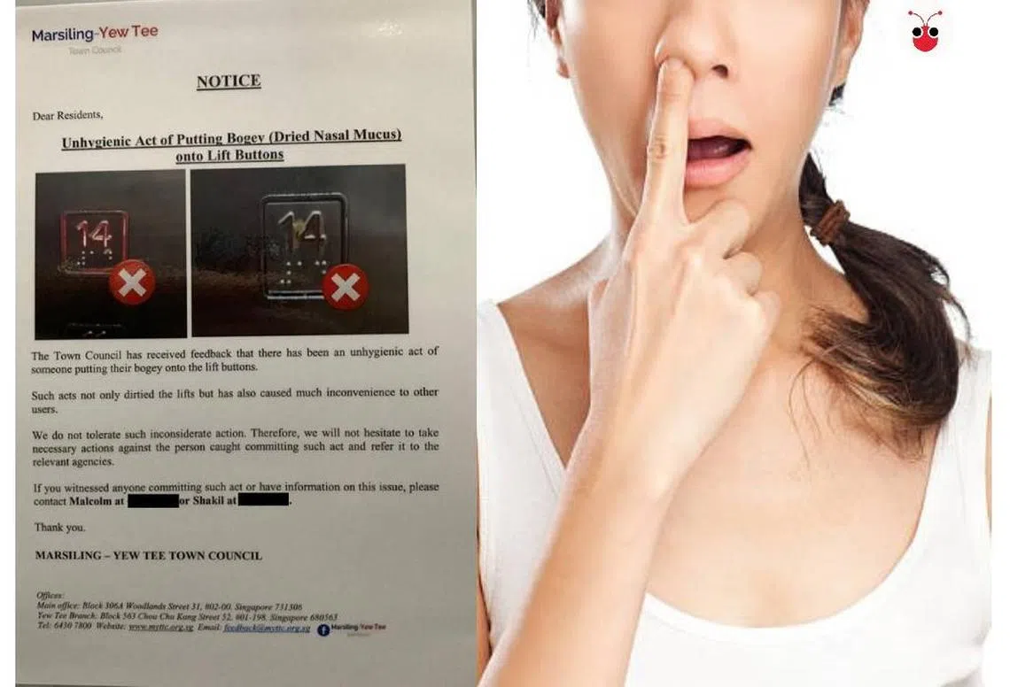 （戴筠懿制图）