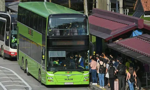 tower transit singapore seeking sbs transit bus driver after bus driver becomes unresponsive on moving bus