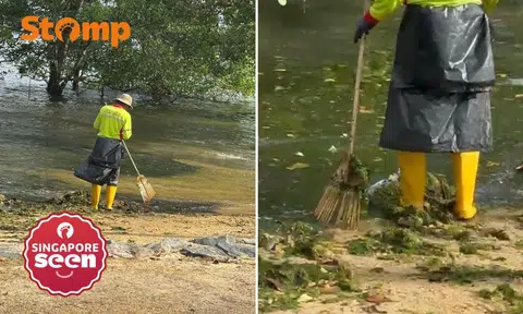 Stomper alleges cleaner swept rubbish into sea at Pasir Ris Park, MND says worker disciplined