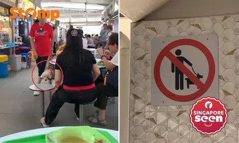 A woman placed her dog on a seat in a Bedok hawker centre, reported Stomper Anonymous.
