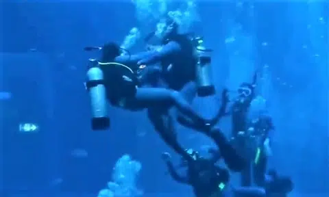 Divers 'fighting' in S.E.A. Aquarium? No, it's part of rescue diving course