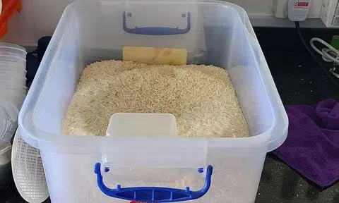 Facebook user Victor Yew had offered rice which contained weevils, which are small beetles, in a group on the social media platform on Sept 14. PHOTO: VICTOR YEW/ FACEBOOK