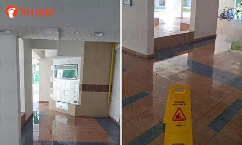 'Waterfall' from ceiling that 'looks like cardboard' at Spottiswoode Park void deck concerns resident